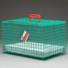 Wire Cat Basket Green - Default Title -Pet Supplies Store 236 350G