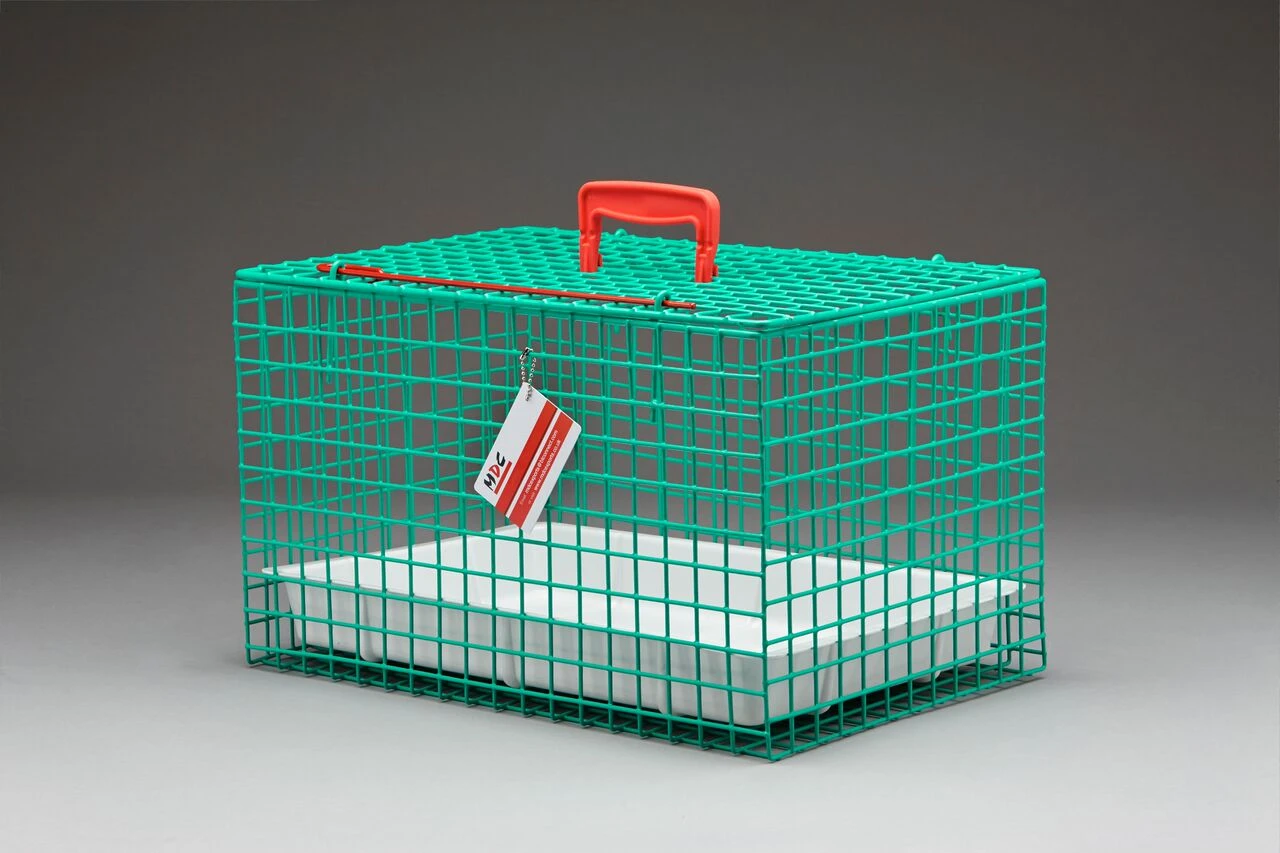 Wire Cat Basket Green - Default Title 3 Wire Cat Basket Green - Default Title