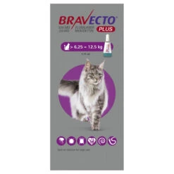 Bravecto Plus Spot On For Cats - Medium Cat 250mg (2.8-6.25kg): 1 Pipette -Pet Supplies Store 2f6a9dcc28ec741d38d173ec415f1f6e