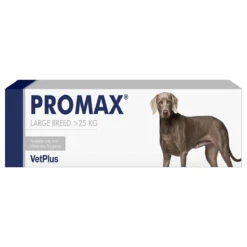 Promax Syringe - 30ml: Large Dog (>25kg) -Pet Supplies Store 32e61e9f10f91b961c2d9319ed8798af