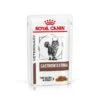 Royal Canin Gastro Intestinal Feline Wet Pouches - 85g Pouch - Pack 12 1 Royal Canin Gastro Intestinal Feline Wet Pouches - 85g Pouch - Pack 12 -Pet Supplies Store 39100001