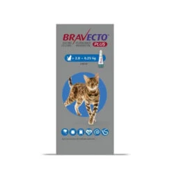 Bravecto Plus Spot On For Cats - Large Cat 500mg (6.25-12.5kg): 1 Pipette 8 Bravecto Plus Spot On For Cats - Large Cat 500mg (6.25-12.5kg): 1 Pipette -Pet Supplies Store 7187a5a7c0ea3cd05a30276fed6ee20f8988670bc424e3939ce429c75aeb60ee jpeg 1