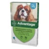Advantage 100 Flea Treatment 4-10kg (Dogs) - Default Title -Pet Supplies Store 89349011 89349011 1 1581512274000 1280x1280 37ac1c84 0117 4044 bc12 ce24be515f67