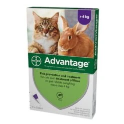 Advantage 80 Flea Treatment >4kg (Large Cat/Rabbit) - Default Title