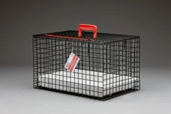 Wire Cat Basket Black - Default Title