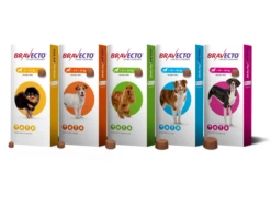 Bravecto Chewable Tablets For Dogs - Large Dog 1000mg: 1 Tablet