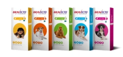 Bravecto Spot On For Dogs - Large Dog 1000mg: 1 Pipette