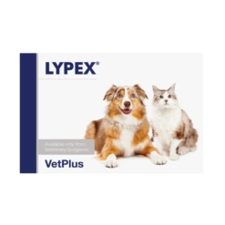 Lypex Capsules - Pack 60