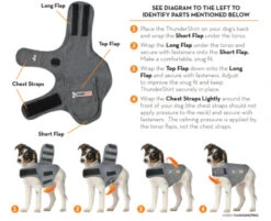 ThunderShirt For Dogs - Large (>18kg-29kg) -Pet Supplies Store TS fitting 1200x1200 png 5