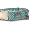 Hugo & Hudson Dog Collar Aqua Herringbone - X-Small -Pet Supplies Store Tweed Collar1 540x 4f63c0a8 42c8 49b0 bc48 e12fa2f5a071 1