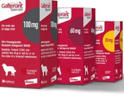 Galliprant Tablets For Dogs - 20mg - Pack 30
