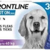 Frontline Spot On Large Dog (20kg-40kg) - 3 Pipettes