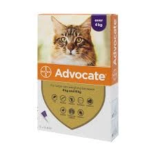 Advocate 80 Large Cat (4kg-8kg) - 6 Pipettes
