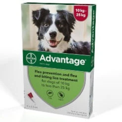 Advantage 250 Flea Treatment 10-25kg (Dogs) - Default Title