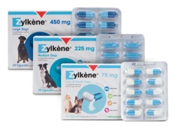 Zylkene Capsules - 450mg: 20 Capsules