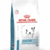Royal Canin Skin Care Small Dog - 4kg -Pet Supplies Store bkpb9ztwmqolxin1uub6 1
