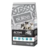 Burns Active Dog Chicken & Rice - 12kg -Pet Supplies Store burns active