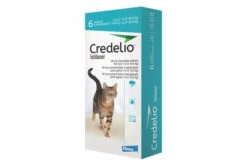 Credelio Tablets For Cats - 48mg: Pack 6 -Pet Supplies Store credelio
