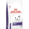 Royal Canin Adult Small Dog - 4kg -Pet Supplies Store cxnwtdrgx5wulya6p3cp 1