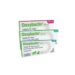 Doxybactin Tablets For Dogs 200mg & 400mg - 400mg: Pack 10