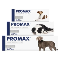 Promax Syringe - 30ml: Large Dog (>25kg)