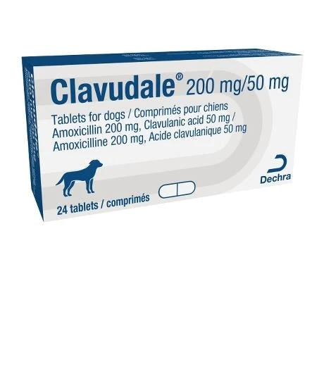 Clavudale Tablets - 400mg/100mg - Pack 24 4 Clavudale Tablets - 400mg/100mg - Pack 24 - Image 2