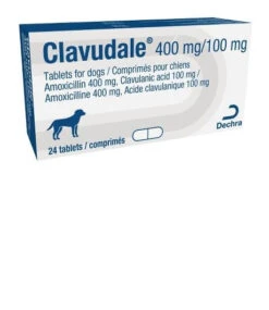 Clavudale Tablets - 400mg/100mg - Pack 24 7 Clavudale Tablets - 400mg/100mg - Pack 24 -Pet Supplies Store getimage 2.ashx 7