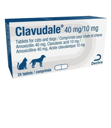 Clavudale Tablets - 400mg/100mg - Pack 24 3 Clavudale Tablets - 400mg/100mg - Pack 24
