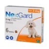 Nexgard Chewable Tablets For Small Dogs 2-4kg - 6 Pack -Pet Supplies Store httpsimages petdrugsonline.s3.amazonaws.comimagesnexgard small dog 11mg 2 4kg 7724 2