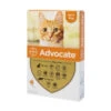 Advocate 40 Small Cat (<4kg) - 6 Pipettes 1 Advocate 40 Small Cat (<4kg) - 6 Pipettes -Pet Supplies Store httpsimages petdrugsonline.s3.eu west 1.amazonaws.comimagesadvocate spot on for cats 40 up to 4kg 3pipettes 480 default