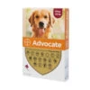 Advocate 250 Large Dog (10kg-25kg) - 3 Pipettes -Pet Supplies Store httpsimages petdrugsonline.s3.eu west 1.amazonaws.comimagesadvocate spot on for dogs 250 10 25kg 3pipettes 2951 default