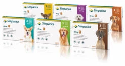 Simparica Chewable Tablets For Dogs - 20mg: >5kg-10kg (Pack 3)