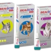 Bravecto Plus Spot On For Cats - Medium Cat 250mg (2.8-6.25kg): 1 Pipette -Pet Supplies Store plus group 1