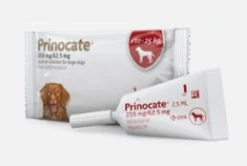 Prinocate Large Dog 250/62.5mg 3 Pack - Default Title