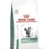 Royal Canin Diabetic Feline - 1.5kg -Pet Supplies Store puqr3viugofwjcqvkhbj 1
