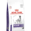 Royal Canin Dental Medium & Large Dog - 6kg -Pet Supplies Store r2jzc0kjbltw9qqe158y 1
