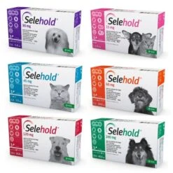 Selehold Spot On For Dogs & Cats - Selehold 240mg Large Dog 20.1-40kg: 3 Pack