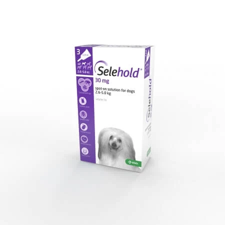 Selehold Spot On For Dogs & Cats - Selehold 240mg Large Dog 20.1-40kg: 3 Pack 6 Selehold Spot On For Dogs & Cats - Selehold 240mg Large Dog 20.1-40kg: 3 Pack - Image 4