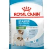 Royal Canin Starter Mini Dog Food 4kg - 4kg -Pet Supplies Store sol mini start dry packshot b1