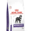 Royal Canin Neutered Adult Large Dog - 3.5kg -Pet Supplies Store tmsj4k5sdrenilyu5eez