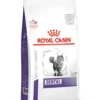 Royal Canin Dental Feline - 3kg -Pet Supplies Store yduwjnbie5gvk6mvli7r 1